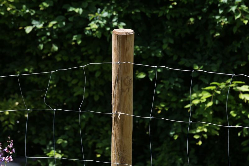 Fence Post Reinforcing in Spring
